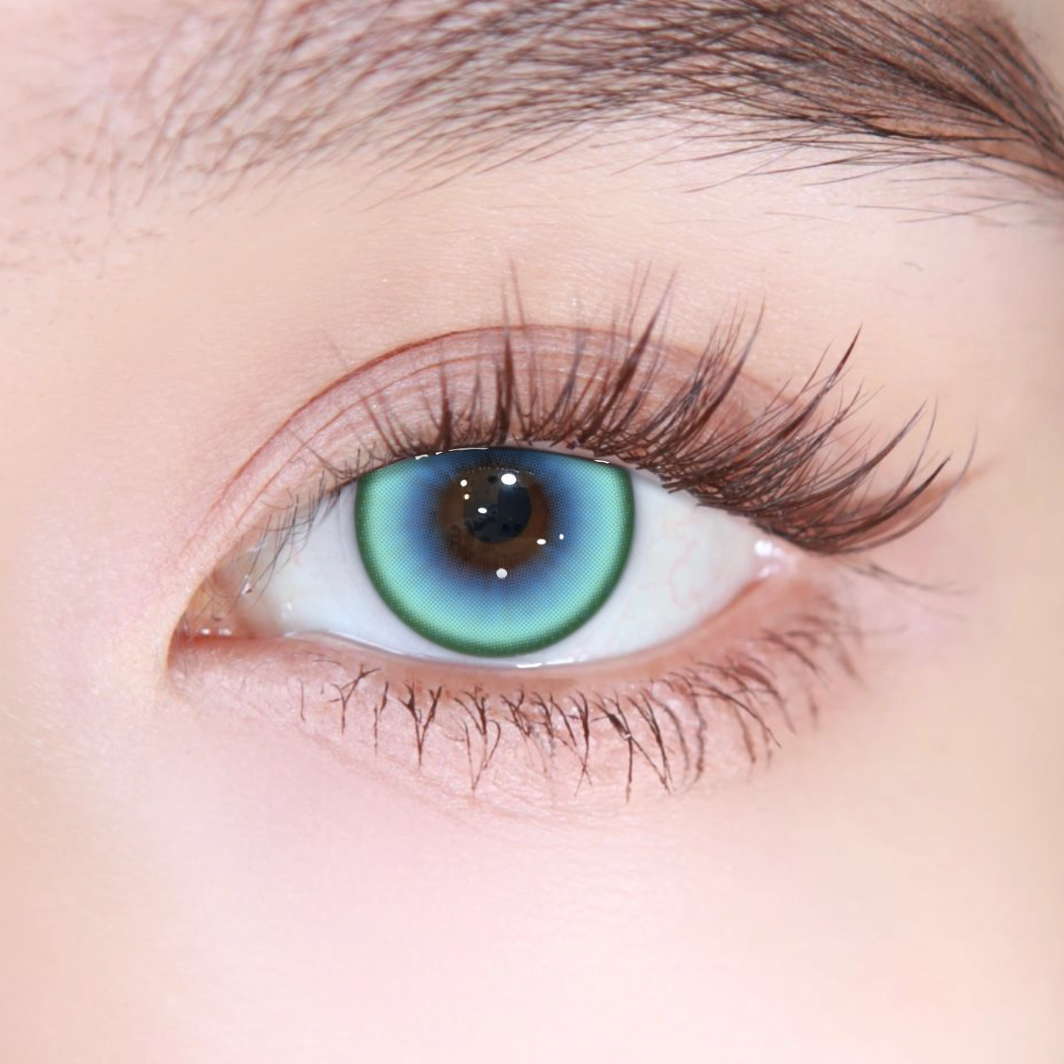 Akiwaii Berris Green[Yearly]