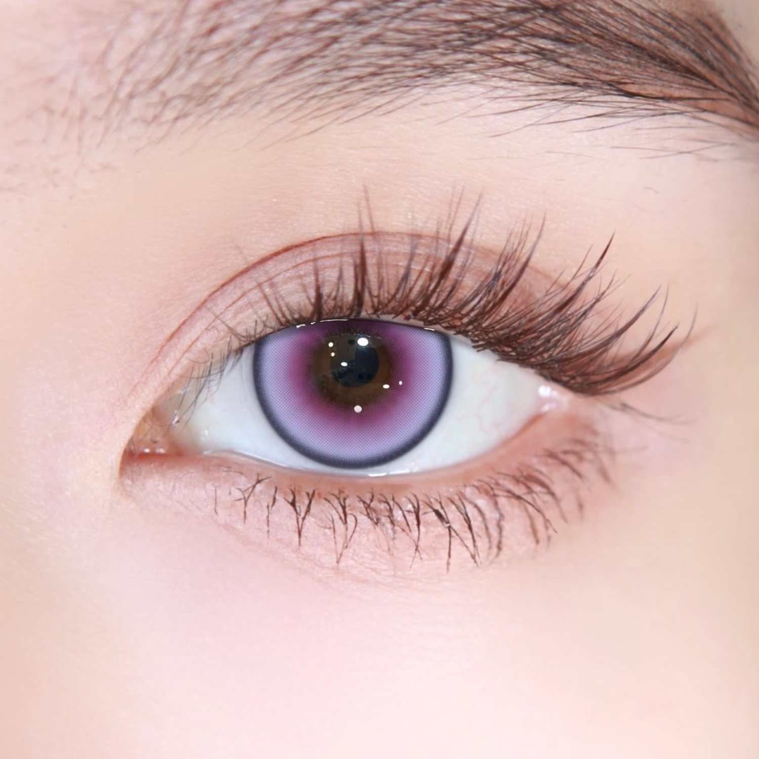 Akiwaii Berris Purple[6-month-wear]