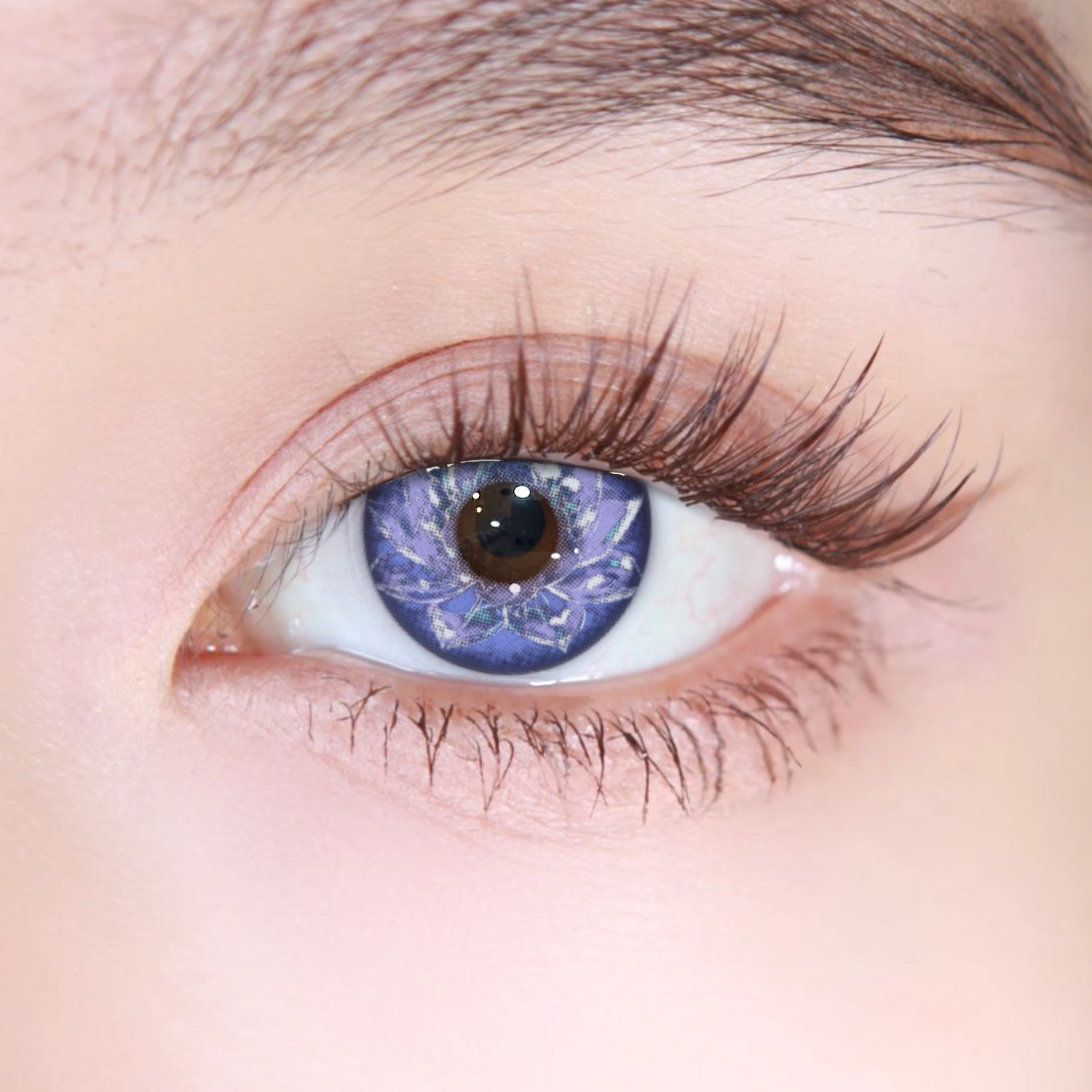 Akiwaii Wintera Blue[Yearly]