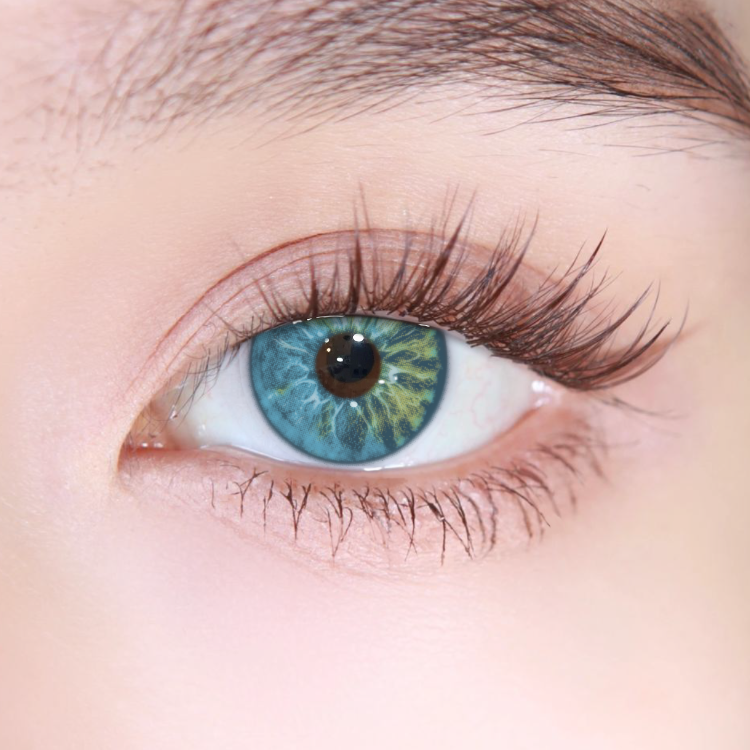 Akiwaii Orbit Blue[Yearly]