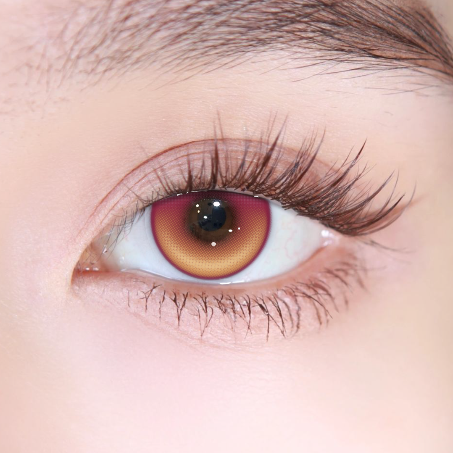 Akiwaii Rouge Red[Yearly]