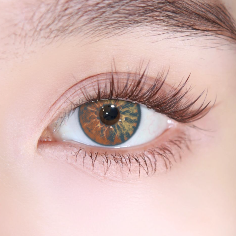 Akiwaii Orbit Brown[Yearly]