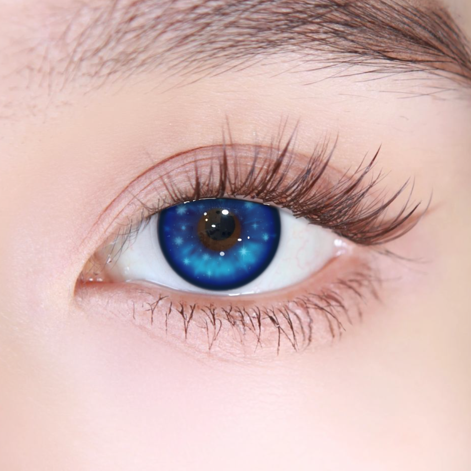 Akiwaii Glacelle Blue[Yearly]