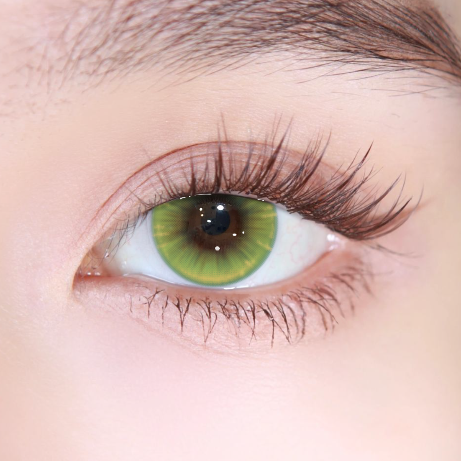 Akiwaii Limora Green[Yearly]