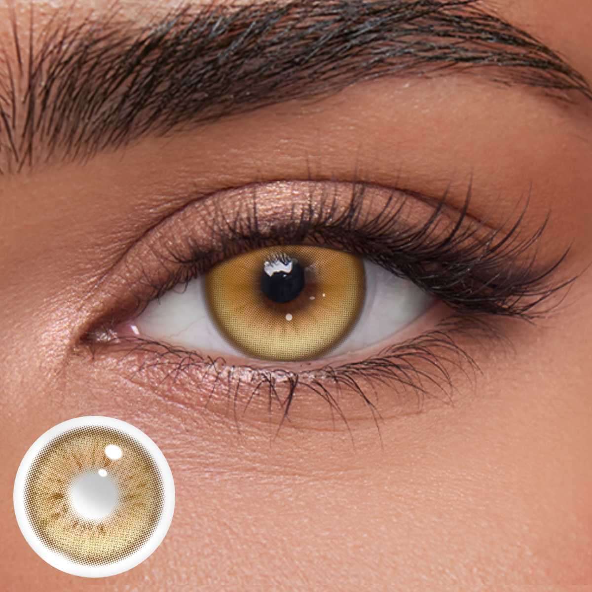 Akiwaii Ether Glow Brown [Yearly]