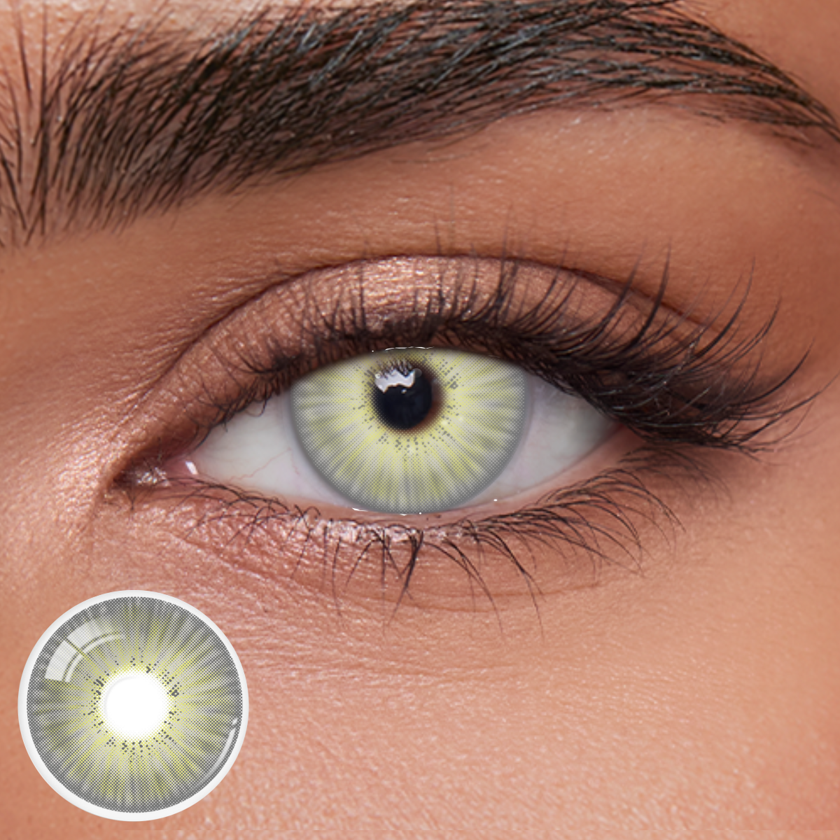 Akiwaii Miravale Light Brown [Yearly]