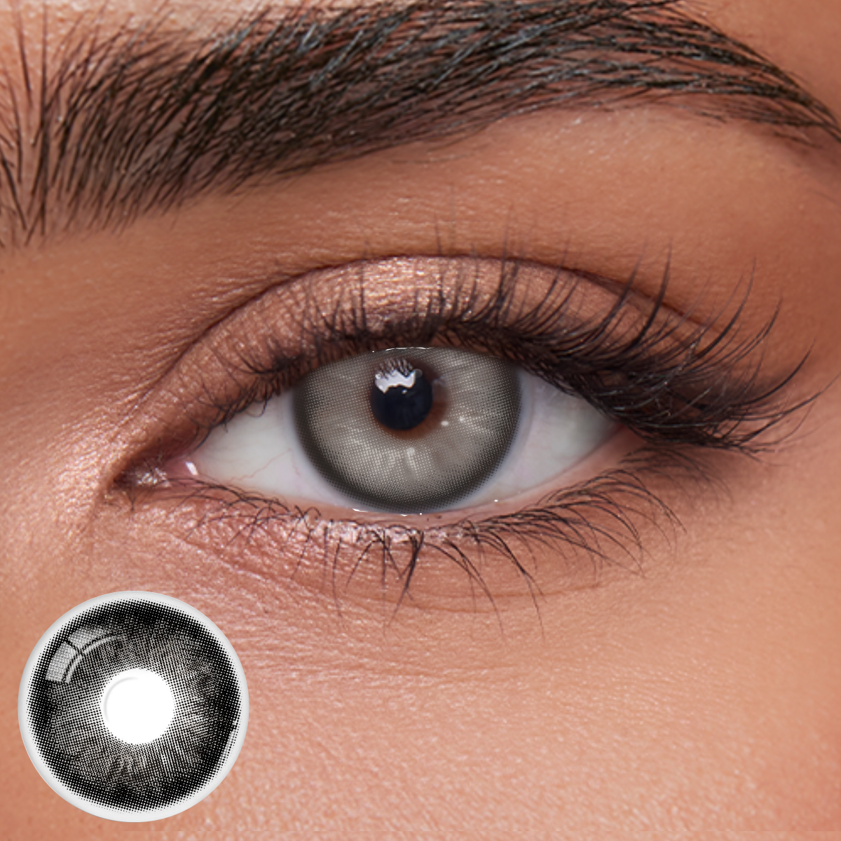 Akiwaii Eclipza Grey [Monthly]