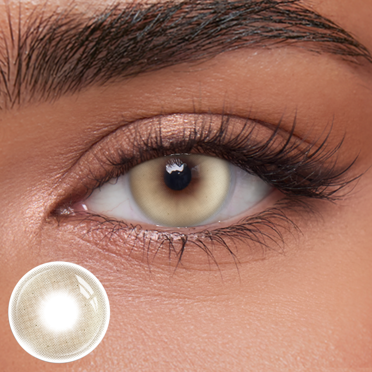 Akiwaii Zeloria Brown [Yearly]