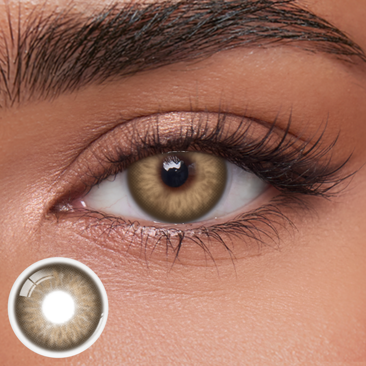 Akiwaii Iridesse Brown [Monthly]