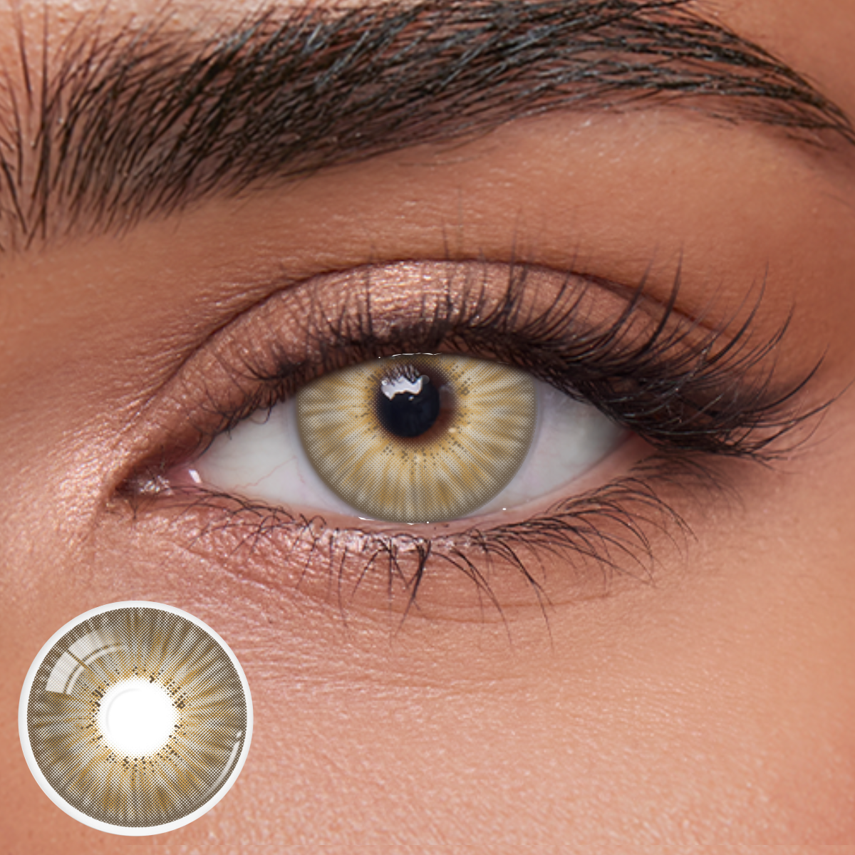 Akiwaii Miravale Hazel [Monthly]