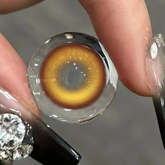 Akiwaii Bronze Beam Brwon [Yearly]