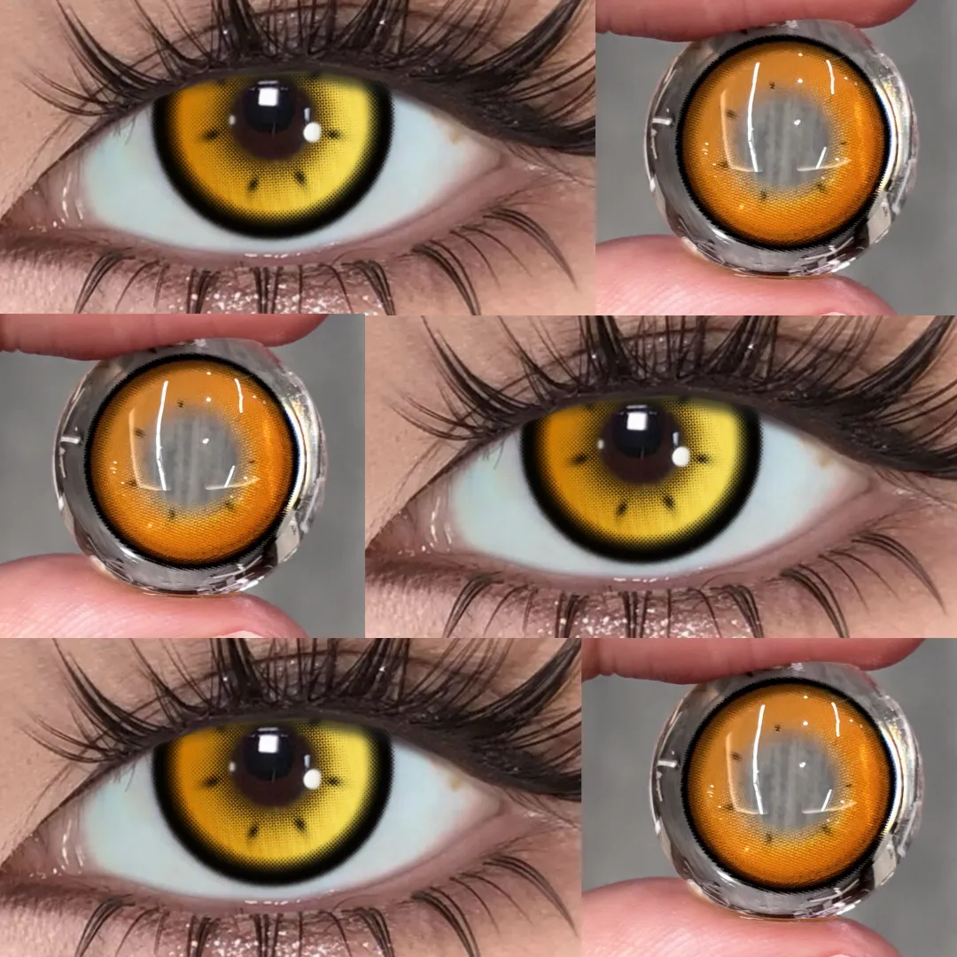 Akiwaii Luminate Brown[Yearly]