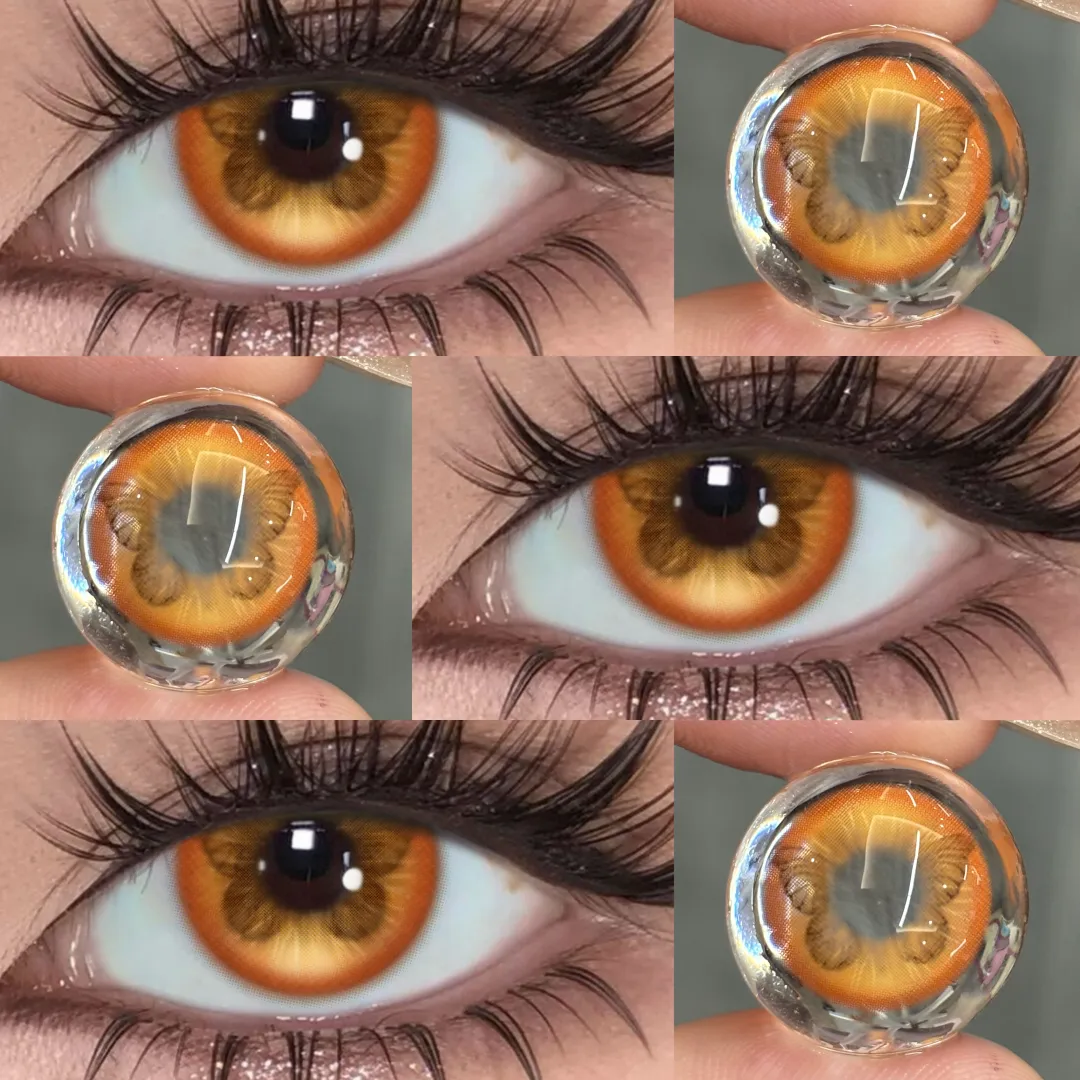 Akiwaii Galaxine Brown [Yearly]