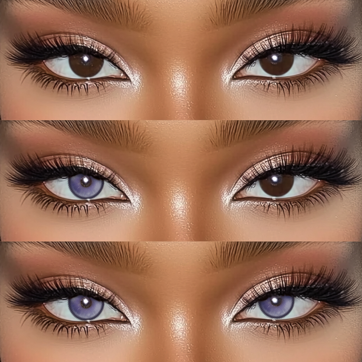 Akiwaii Shard Purple [Yearly]