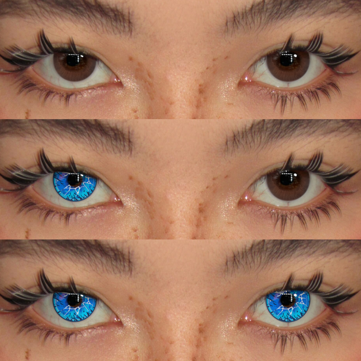 Akiwaii Portal Blue [Yearly]