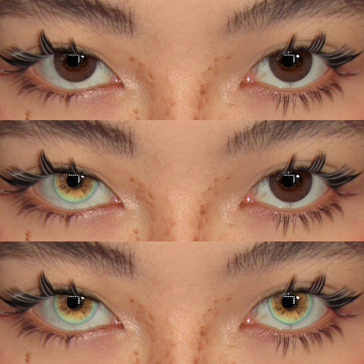 Akiwaii Dreamy Bow Brown [Yearly]