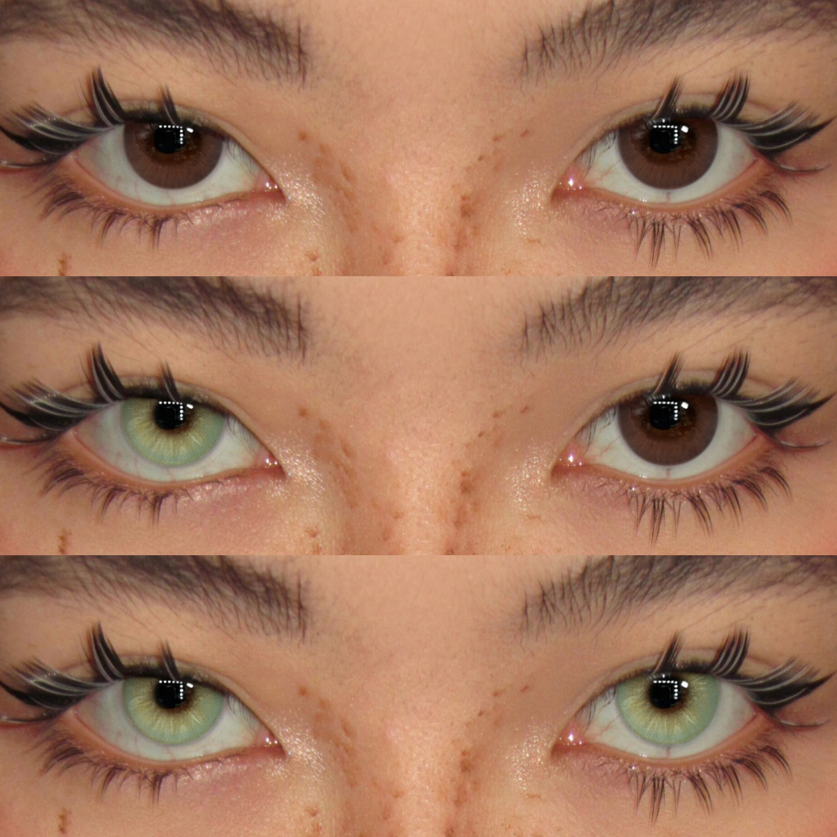 Akiwaii Hybrid Green [Yearly]