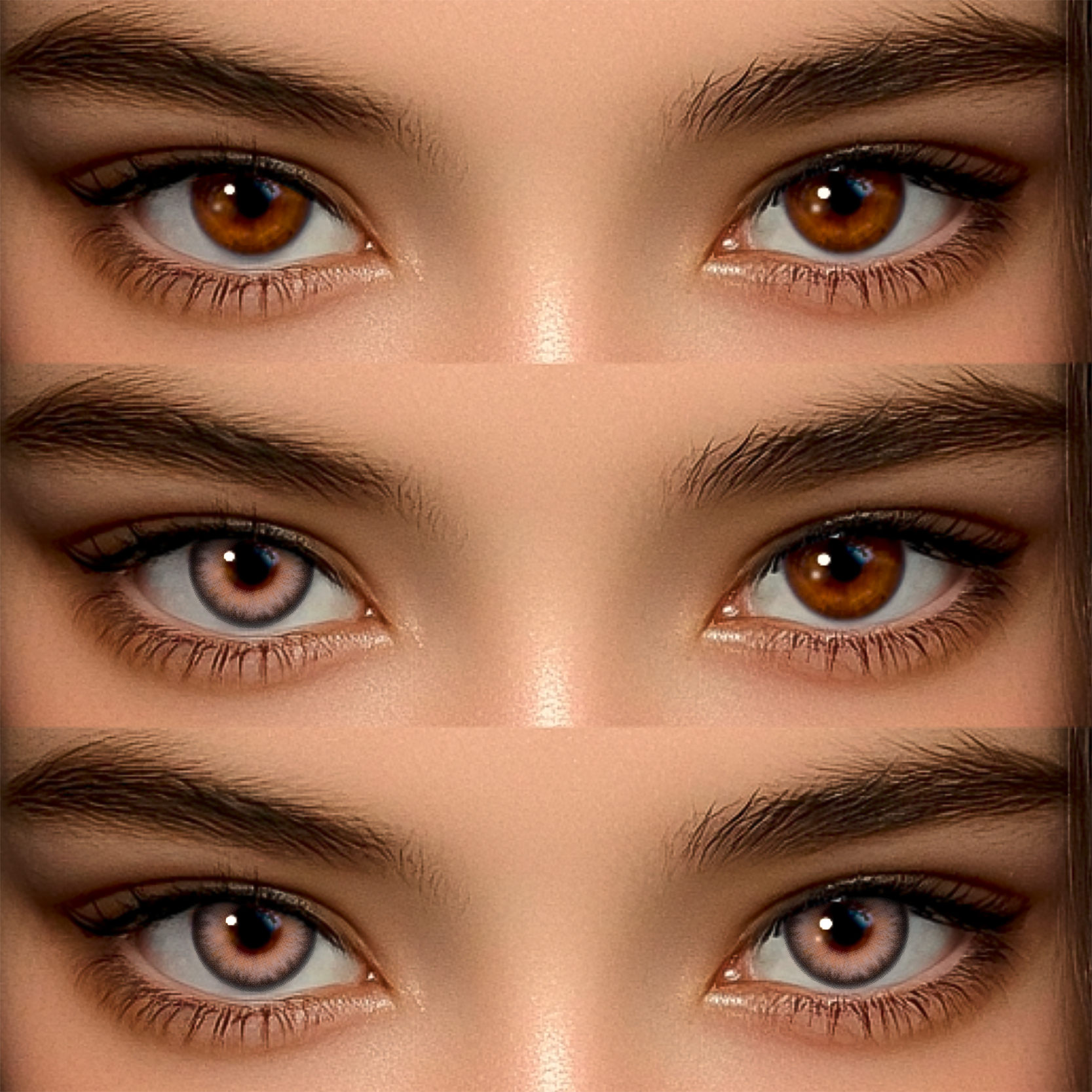 Akiwaii New 3-Tone Hazel Brown [Yearly]