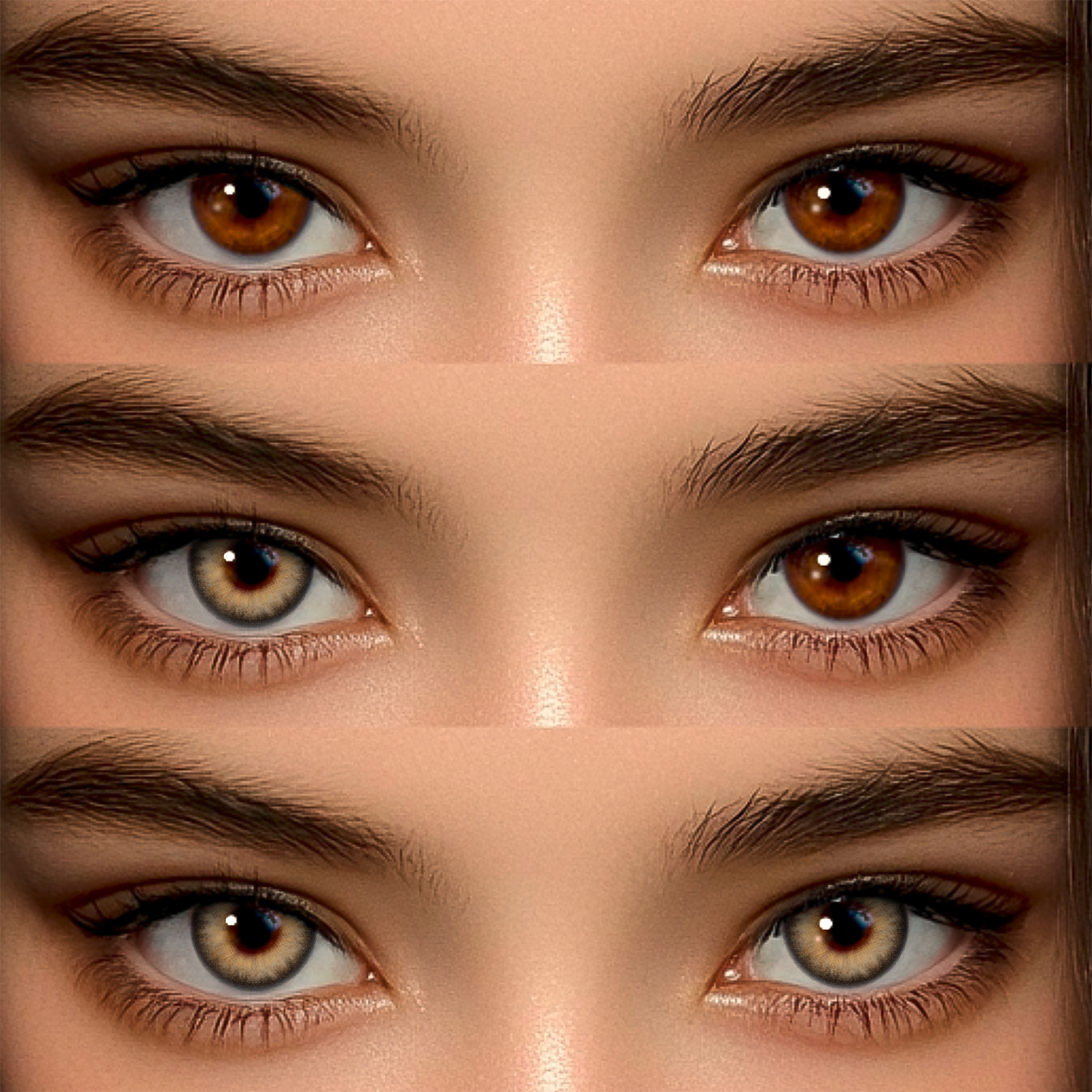 Akiwaii New 3-Tone HONEY Brown [Yearly]