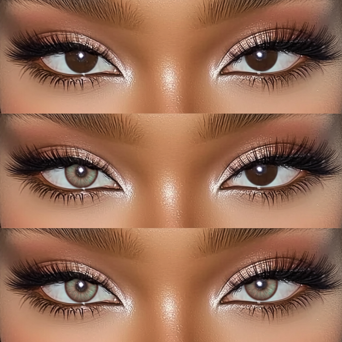 Akiwaii Dreamfire Brown [Yearly]