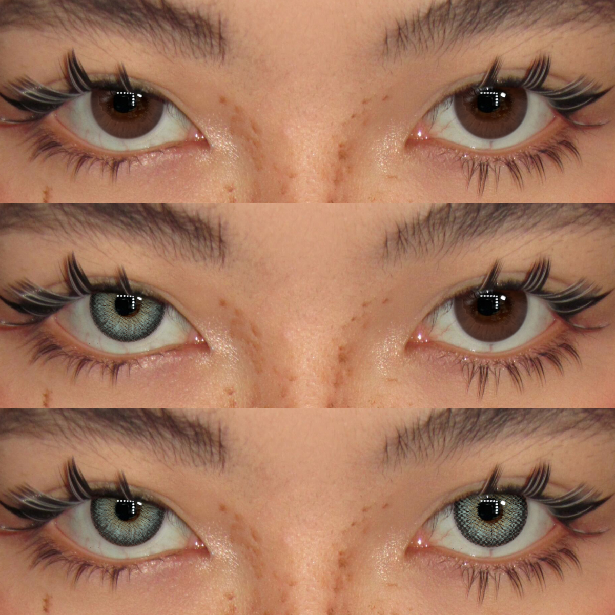 Akiwaii Chaique Green [Yearly]