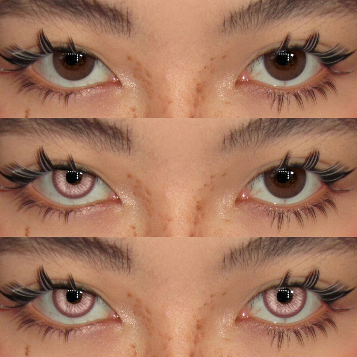 Akiwaii Canvas Pink [Yearly]