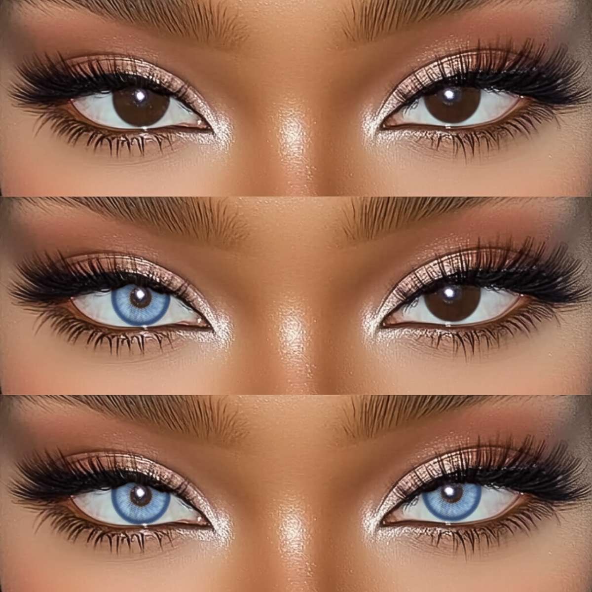 Akiwaii Canvas Blue [Yearly]