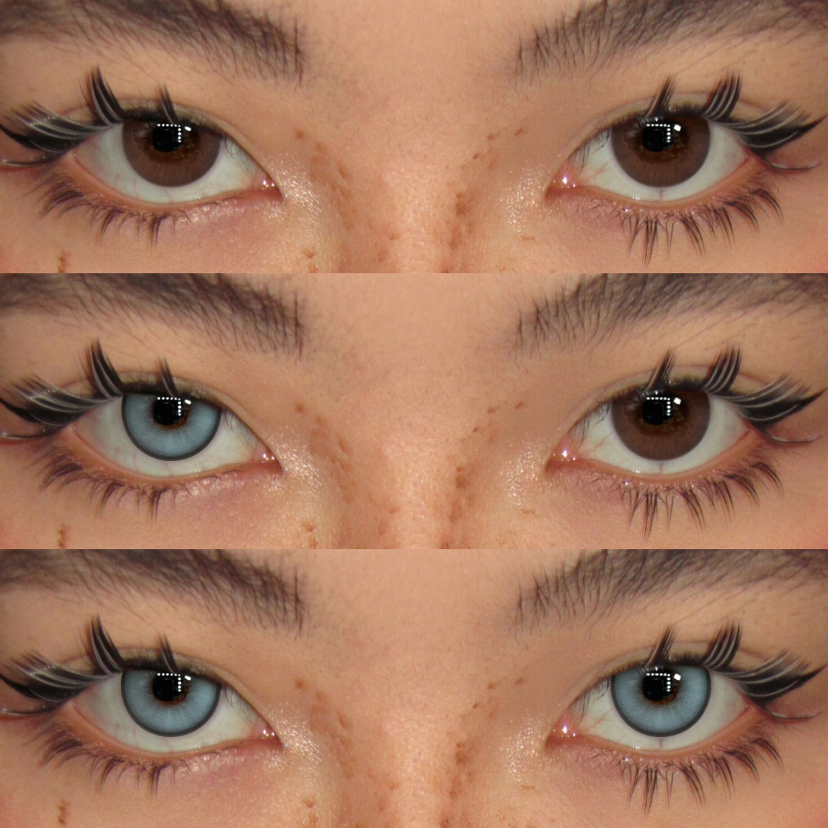 Akiwaii Rasbelle Blue [Yearly]