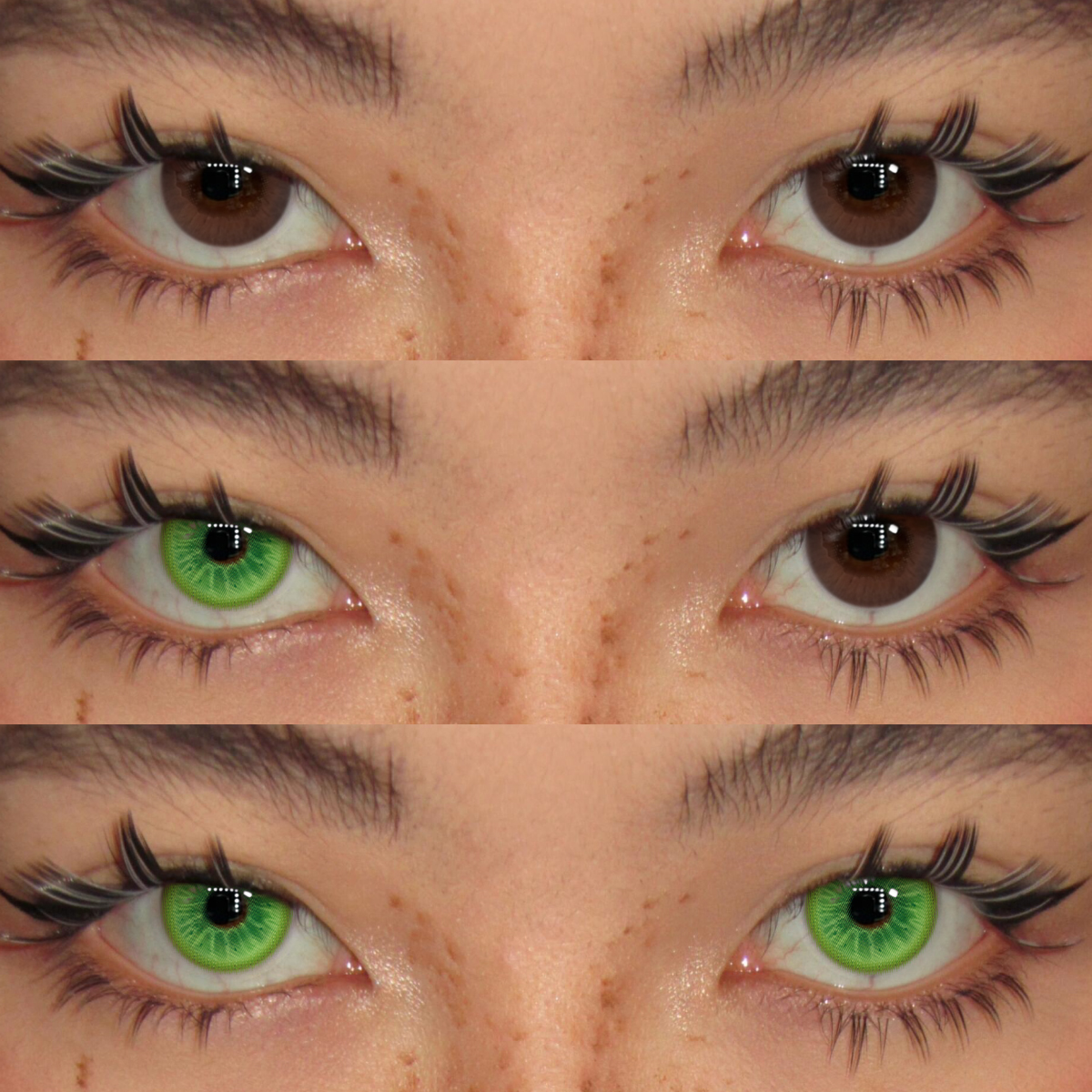 Akiwaii Lolly Green [Yearly]