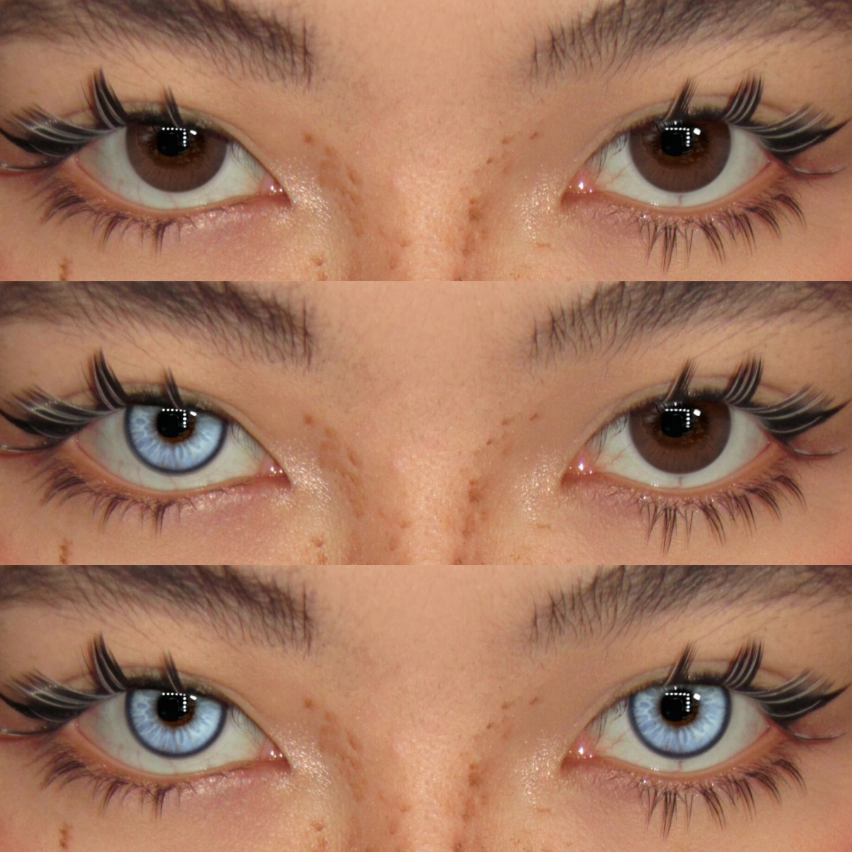 Akiwaii Arden Blue [Yearly]