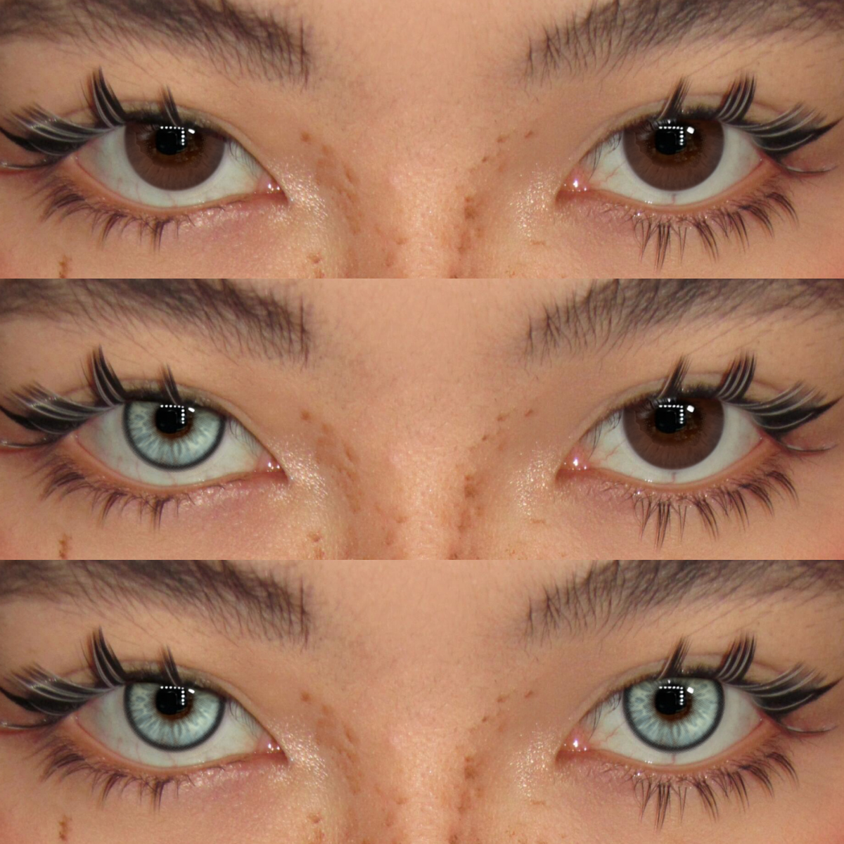 Akiwaii Arden Green [Yearly]