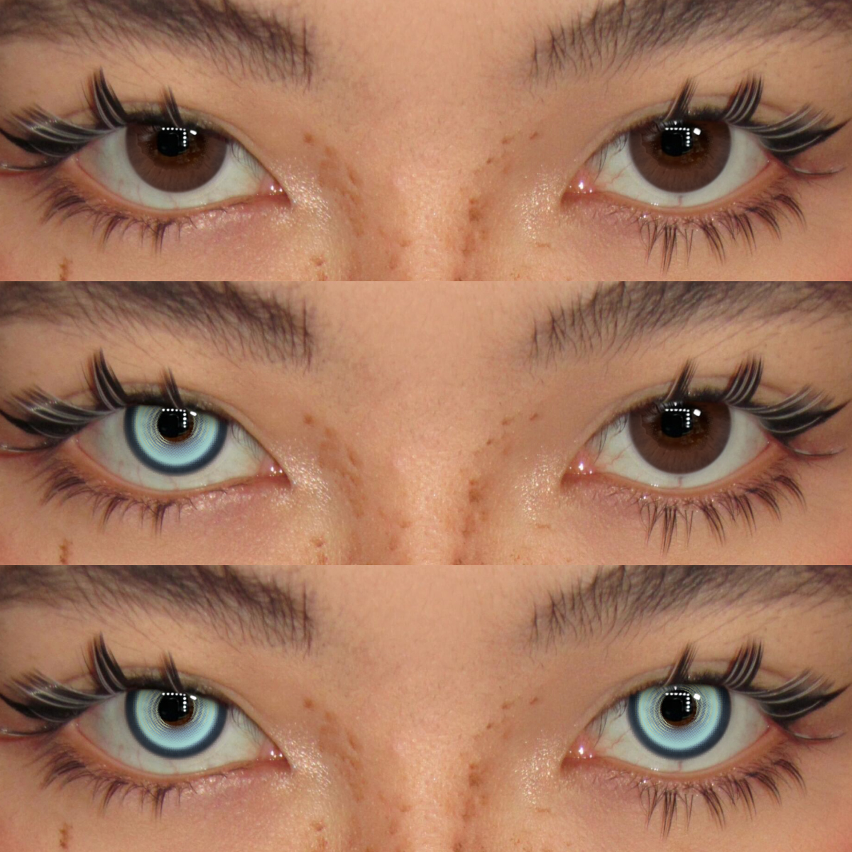 Akiwaii Infinite Blue [Yearly]