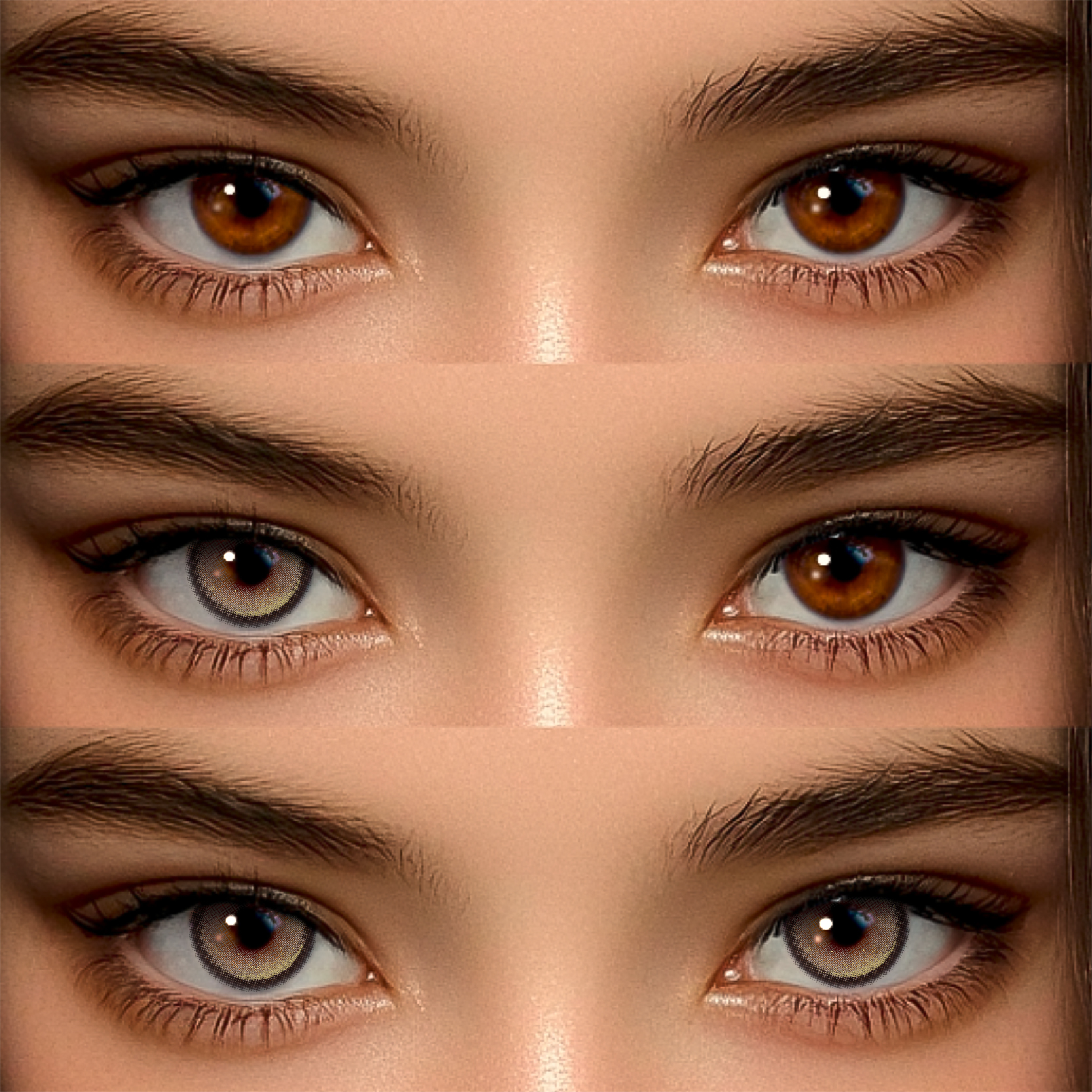 Akiwaii Glissis Brown[Yearly]