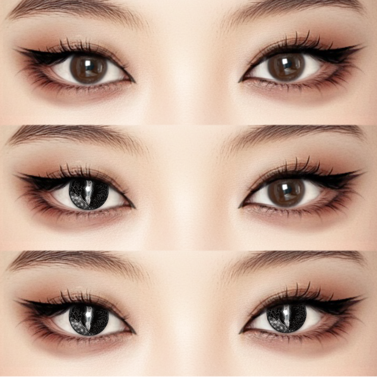 Akiwaii Basilisk Black [6-month-wear]