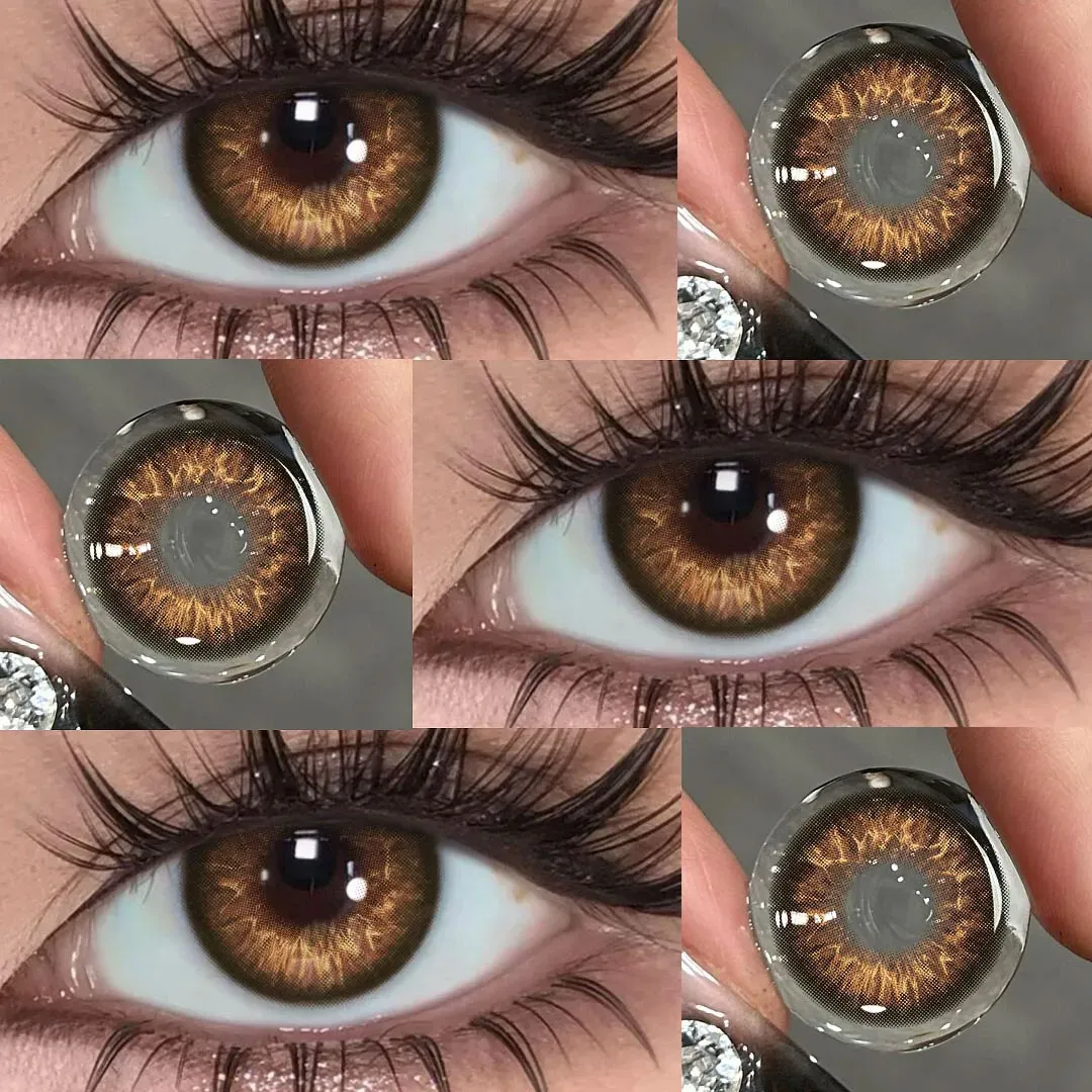Akiwaii Vessia Brown [Yearly]