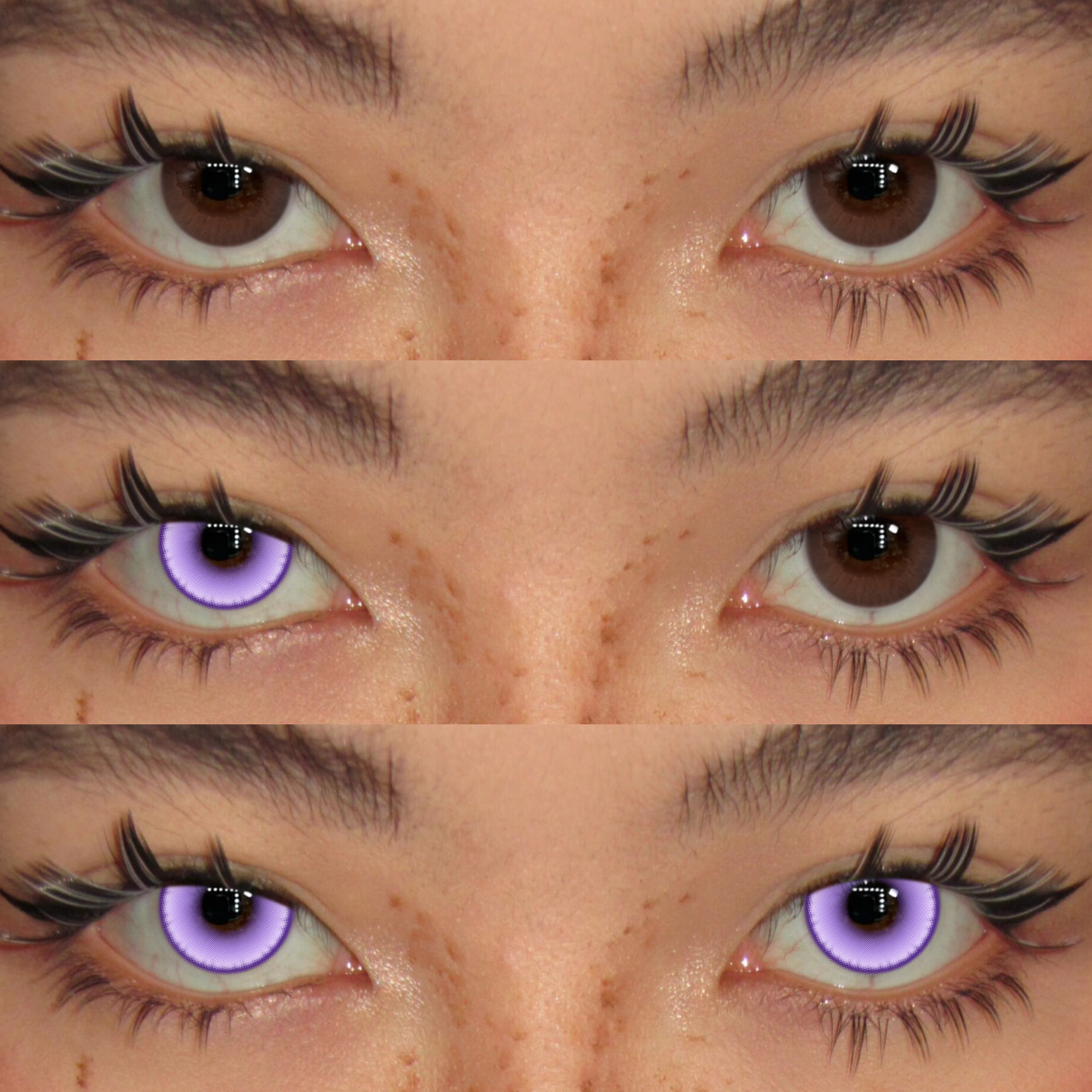 Akiwaii Stargleam Shiny Violet [Yearly]