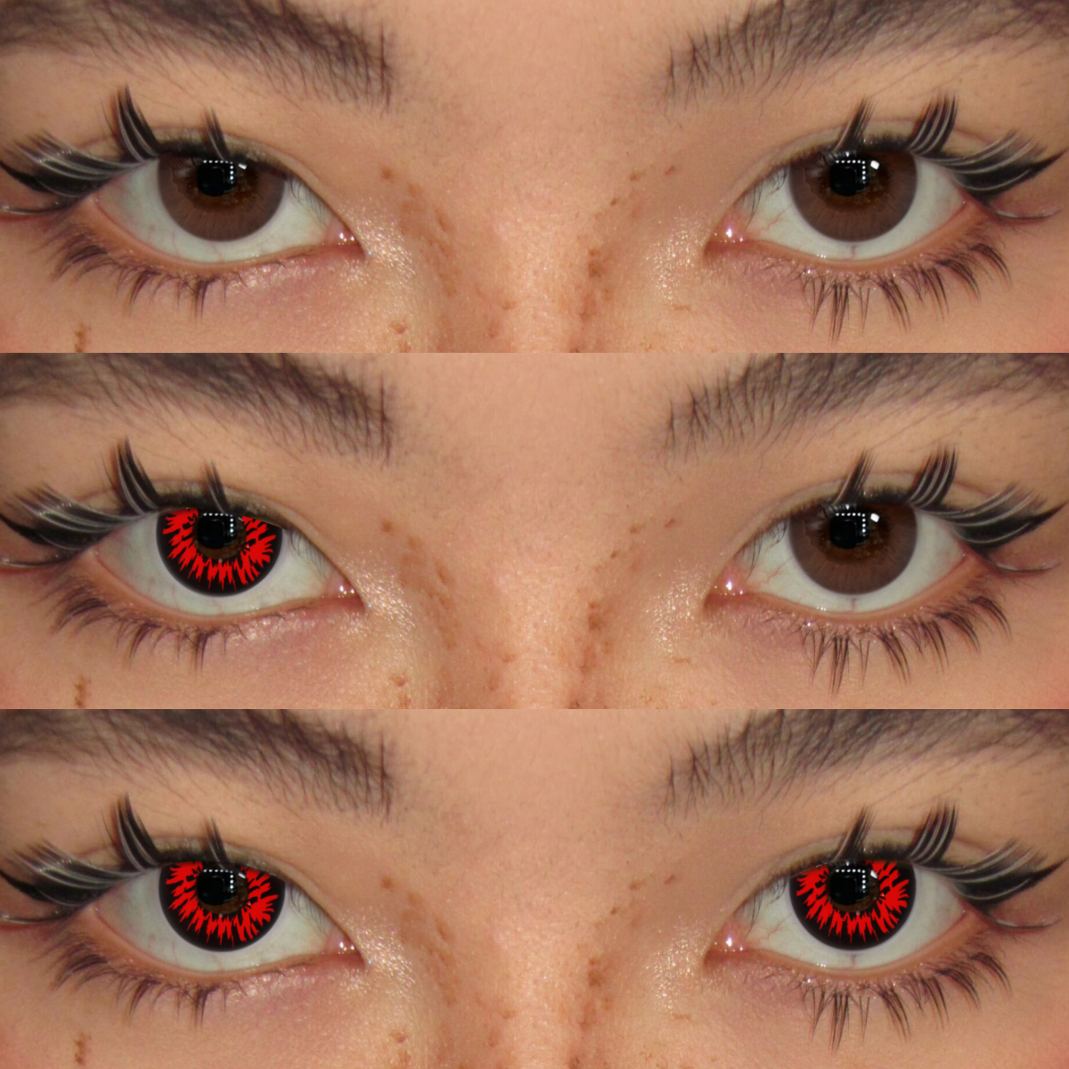 Akiwaii Crazy Enchanted Black [Yearly]