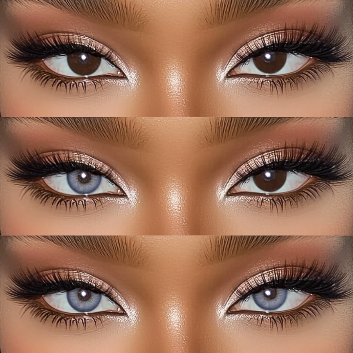 Akiwaii Chroma Purple [Yearly]