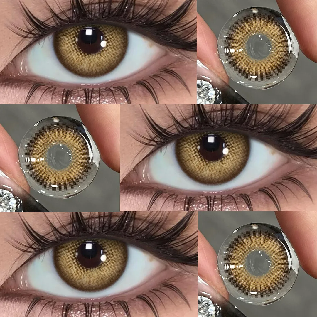 Akiwaii Chroma Brown [Yearly]