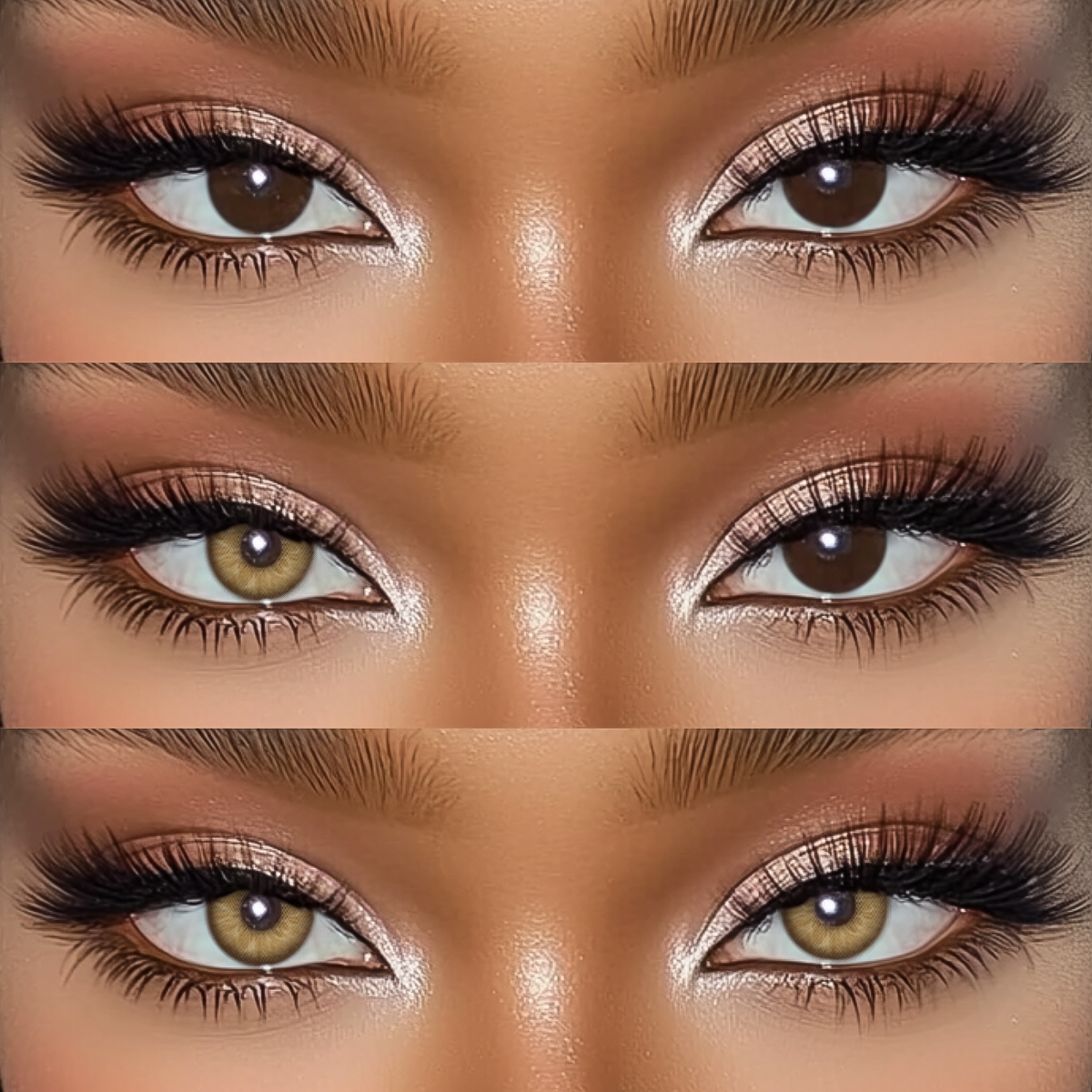 Akiwaii Chroma Brown [Yearly]