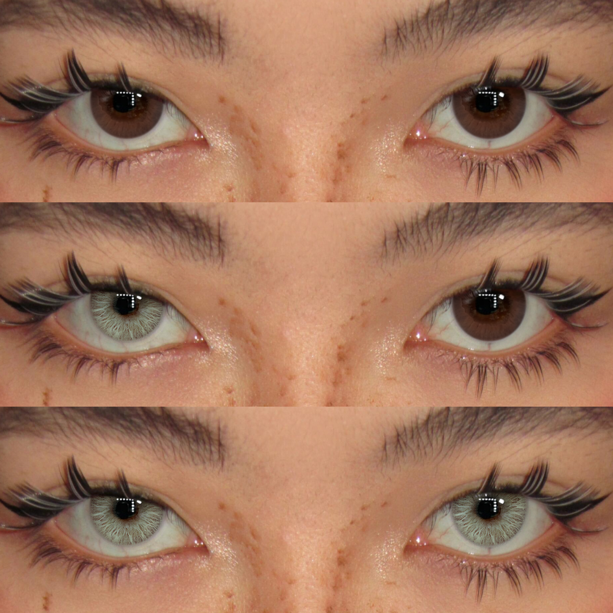 Akiwaii Silver Veil Blue [Yearly]