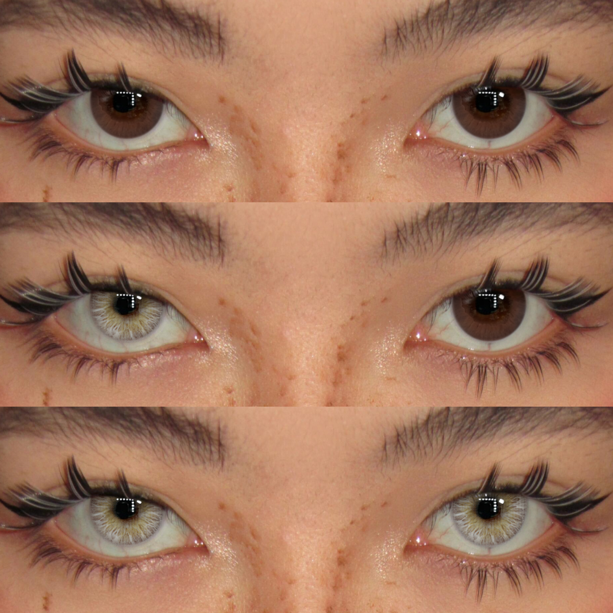 Akiwaii Silver Veil Grey [Yearly]