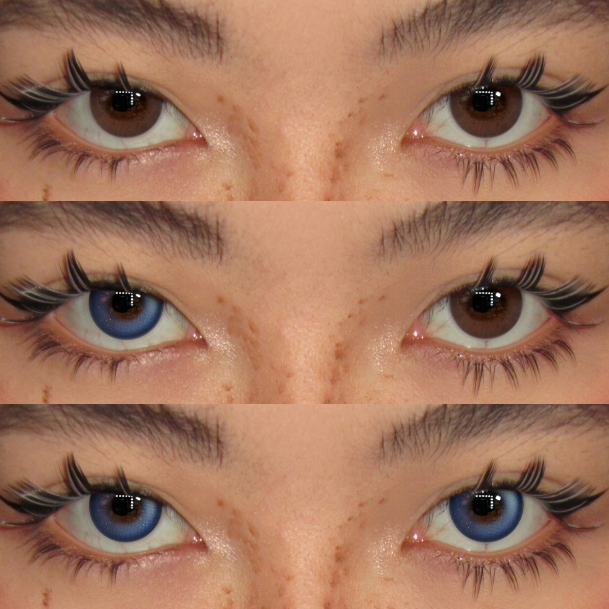 Akiwaii Cozy Blue [Yearly]