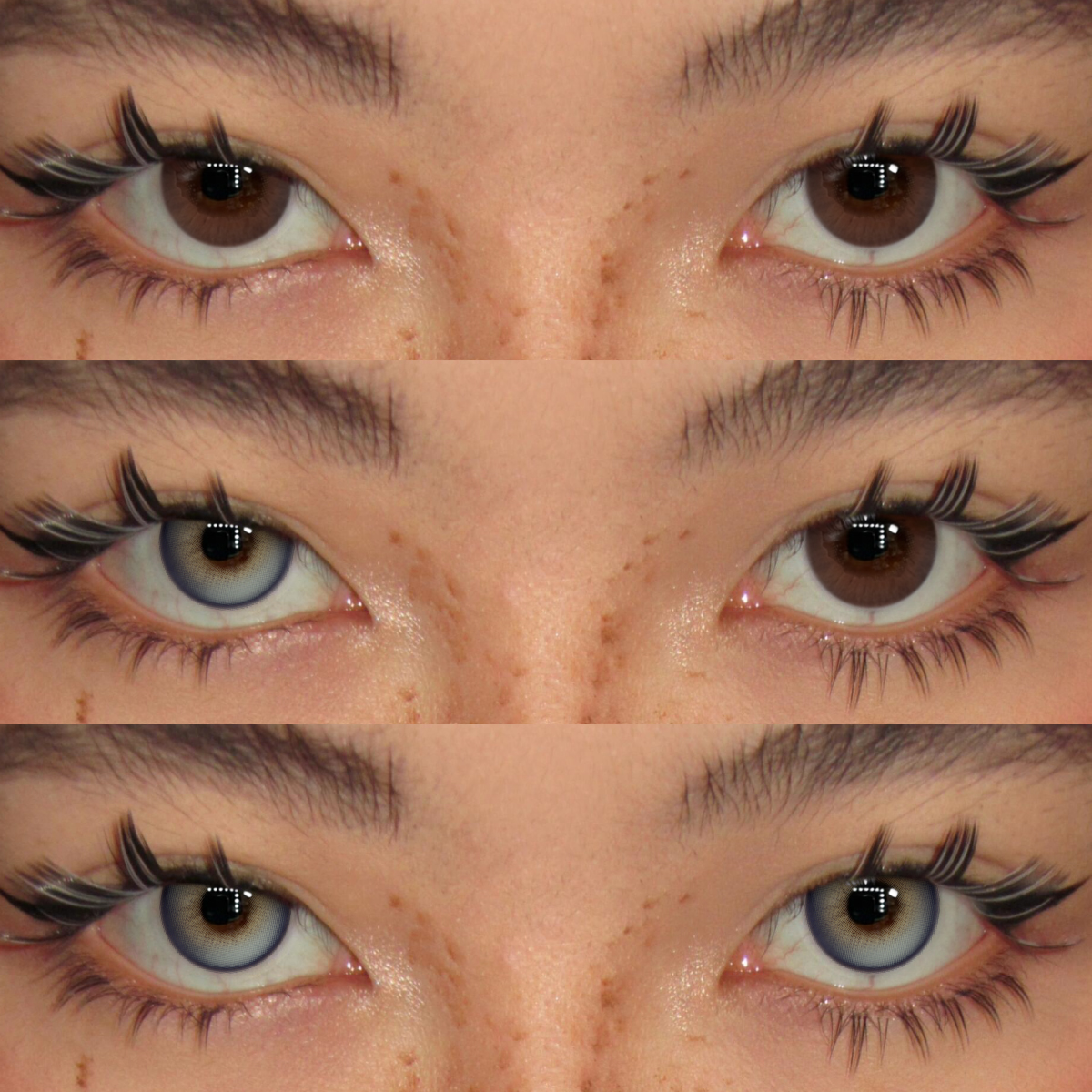 Akiwaii Damo Blue [Yearly]