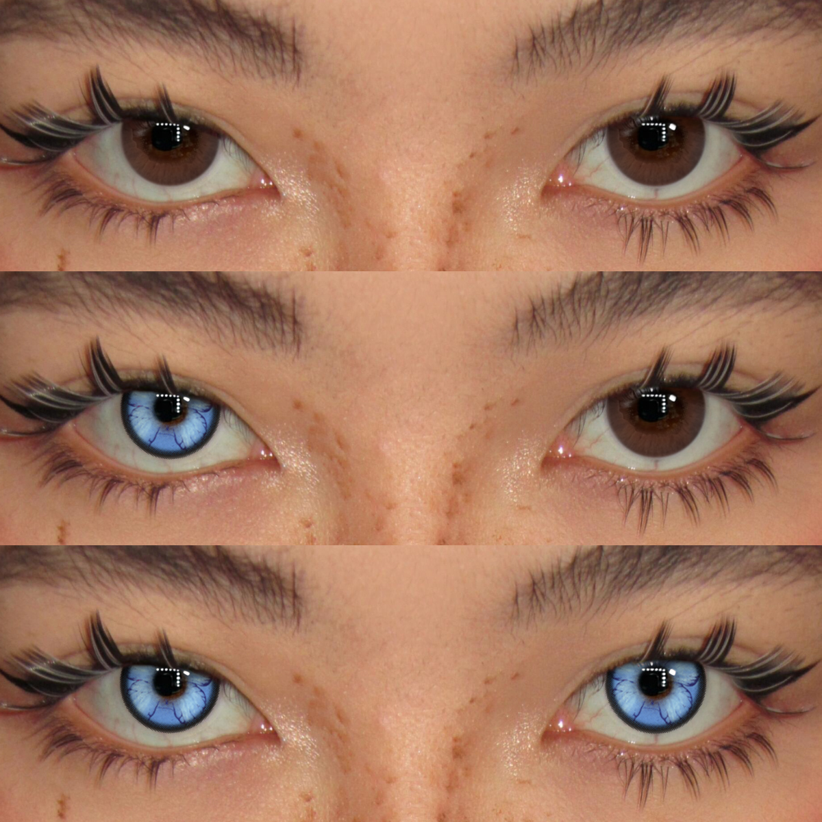 Akiwaii Lunar Wing Blue [Yearly]