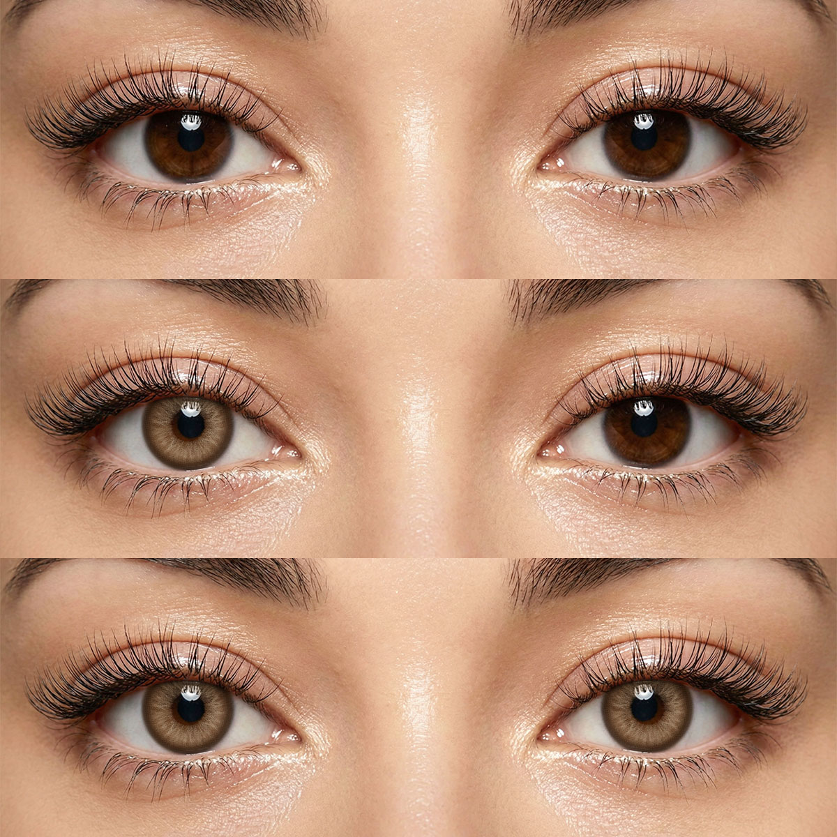 Akiwaii Zephyra Brown [Yearly]