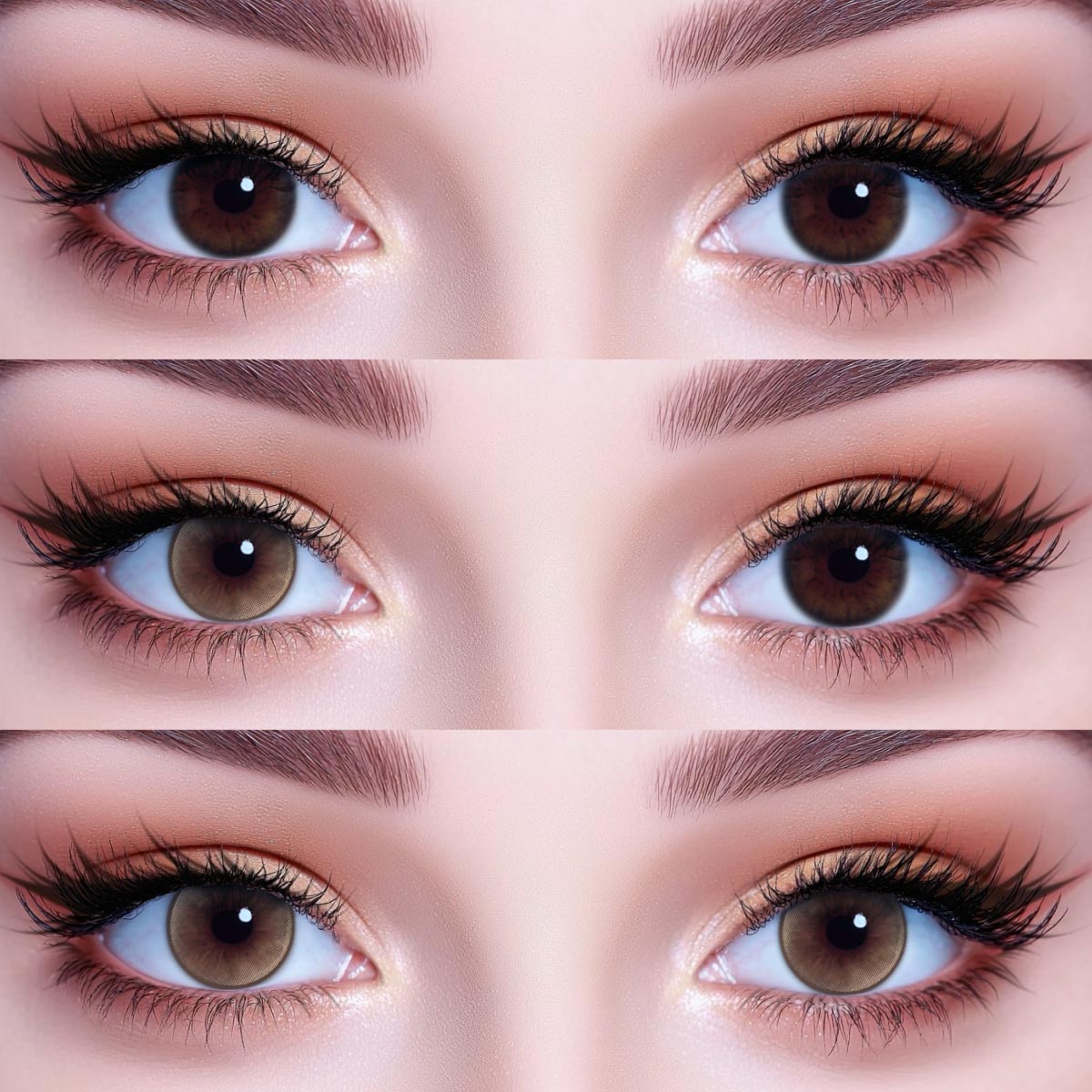 Akiwaii Holois Brown[Yearly]