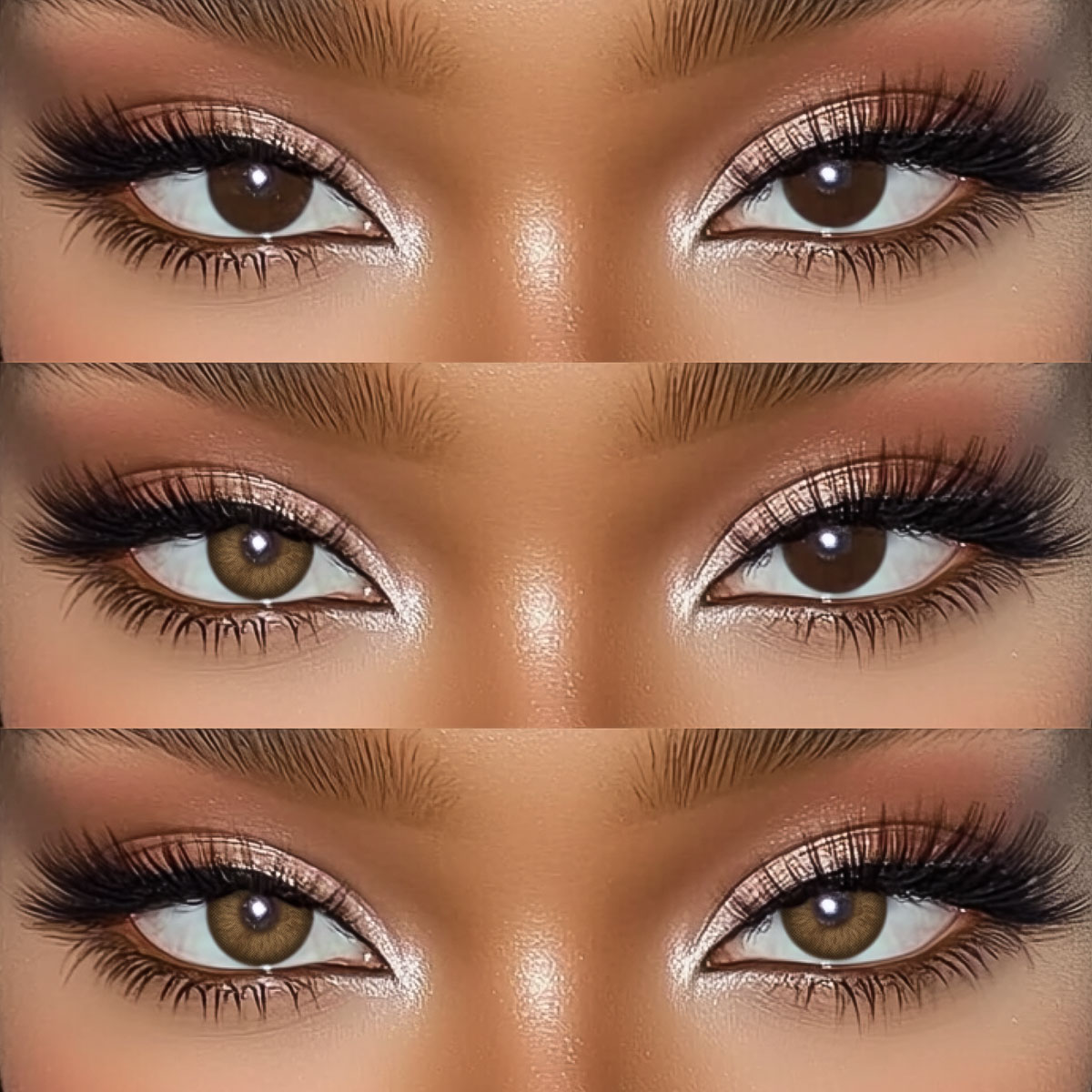 Akiwaii Iridesse Brown [Yearly]