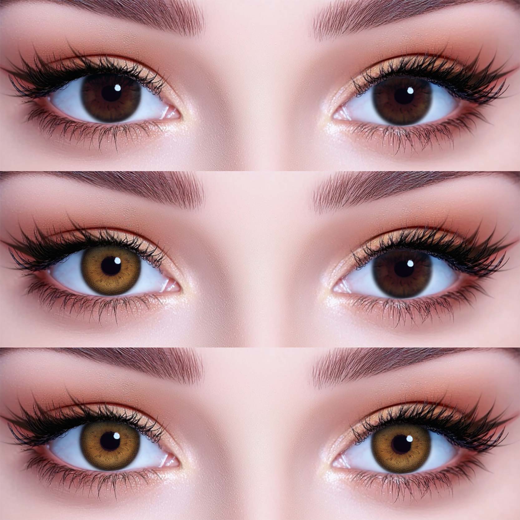 Akiwaii Irone Brown [Yearly]