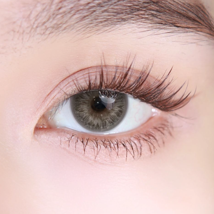 Akiwaii Glimpse Grey [Yearly]